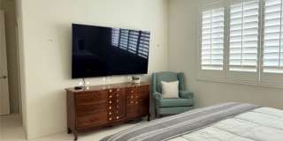 29657 Starring Gallery 18