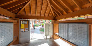 4704 E Paradise Village Parkway Gallery 38