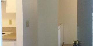 Linden Apartments Gallery 4