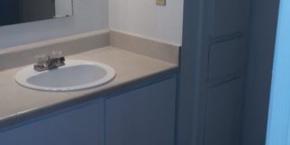 Forest Ridge Gallery 33