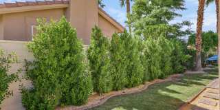 78825 Via Ventana Gallery 30