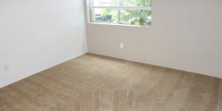 Elán Avante Apartment Homes Gallery 6
