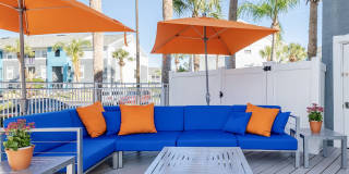 Ascent of Palm Bay Gallery 13