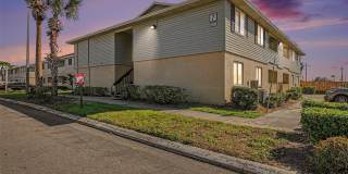 550 GOLDEN RAINTREE Place Gallery 3