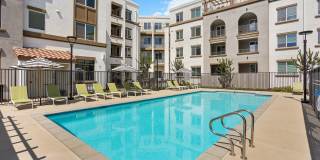 Alta Westwind Gallery 2