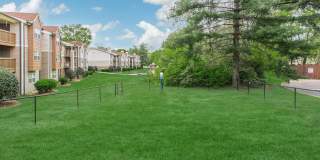 Sussex Downs Gallery 72