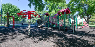 The Stories Gallery 48