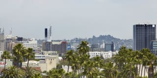 The Avenue Hollywood Gallery 21