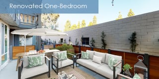 The Meadows - Newly Renovated Gallery 1