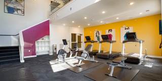 Allure Apartments Gallery 37