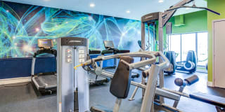 Arrive Alexandria Gallery 10