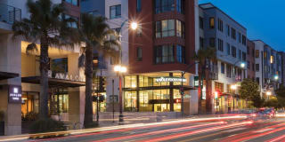 Avalon Ocean Avenue Gallery 26