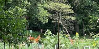 6 BOULDERCREST CT Gallery 23
