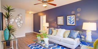 Metro 5514 Gallery 6