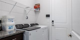 13939 Prickly Cone Cv Gallery 19