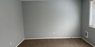 P14616 Gallery 19