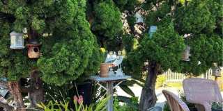 1262 Catalina Gallery 9