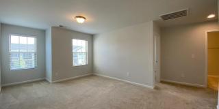 3461 Norway Spruce Road Gallery 23