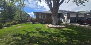 SPACIOUS and Updated 4B/2.5B Now Available in Loveland! Huge Back Yard! SPACIOUS and Updated 4B/2.5B Now Available in Loveland! Huge Back Yard! Gallery 1