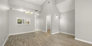 4392 Brooker Creek Dr Gallery 12