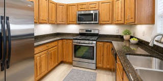 Updated 2/2/1 Home in Northeast St. Petersburg! Gallery 10