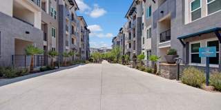 Array Vista Canyon Gallery 52