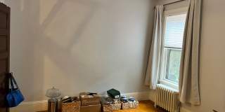 119 Antrim St Gallery 15