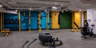 Halstead Burlington Gallery 7