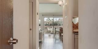 207 Orange Blossom # 23 207 Orange Blossom # 23 Gallery 1
