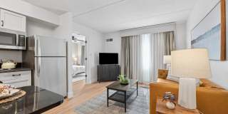 The Ainsley Gallery 4