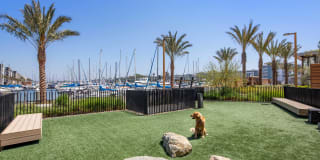 AMLI Marina Del Rey Gallery 38