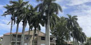 1760 Palm Cove Boulevard Gallery 1