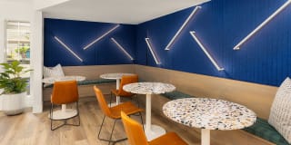 Canopy Gallery 20