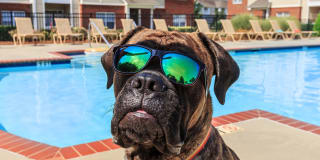 Bradford Park Gallery 7