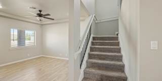 4877 Christian Azcarate Street Gallery 24