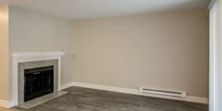 Avana Chestnut Hill Gallery 13