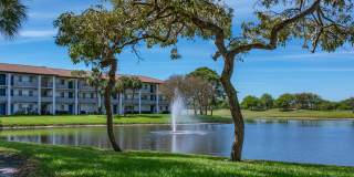 Cameron Cove Gallery 16