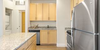 Mountain Trail Gallery 46