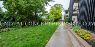 1059 E. 600 S. Gallery 142