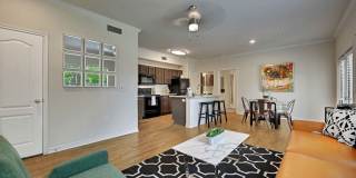 Austin City Lights Gallery 6