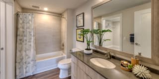 Theo Apartments Gallery 11