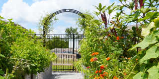 Provenza at Park Place Gallery 5