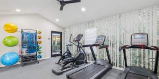 Parklight Gallery 26