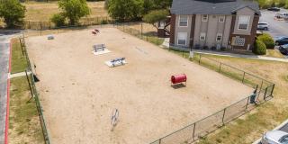 The Lynx The Lynx Gallery 10