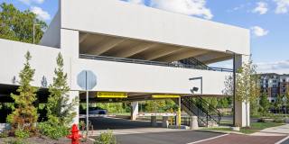 Madison West Elm Gallery 87