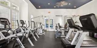 Sole at Citrus Park Gallery 4