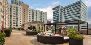The Cosmopolitan Apartments Gallery 17