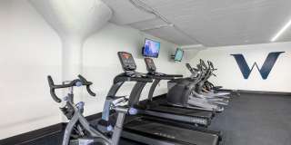 The Wynnewood Gallery 3