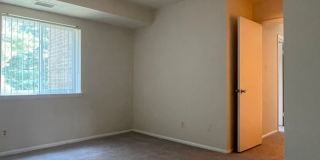 Northgate Gallery 273