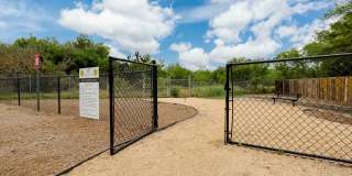 Heron on Hausman Gallery 12